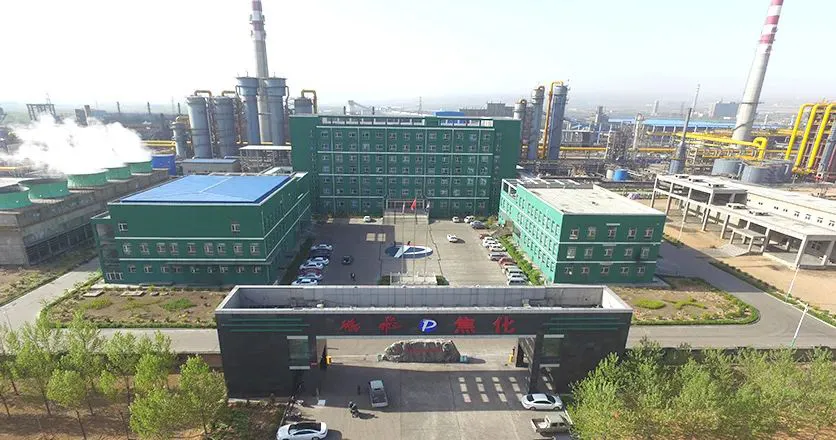 龙净环保助力双碳目标，阳光教育闪耀国际舞台——教育与绿色投资并举，践行可持续发展信念